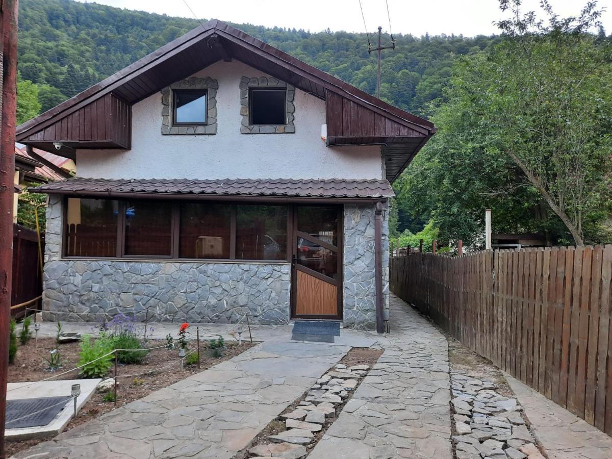 Casa Crissio Villa Sinaia Exteriör bild